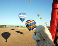 Klasse, die vielen Ballons